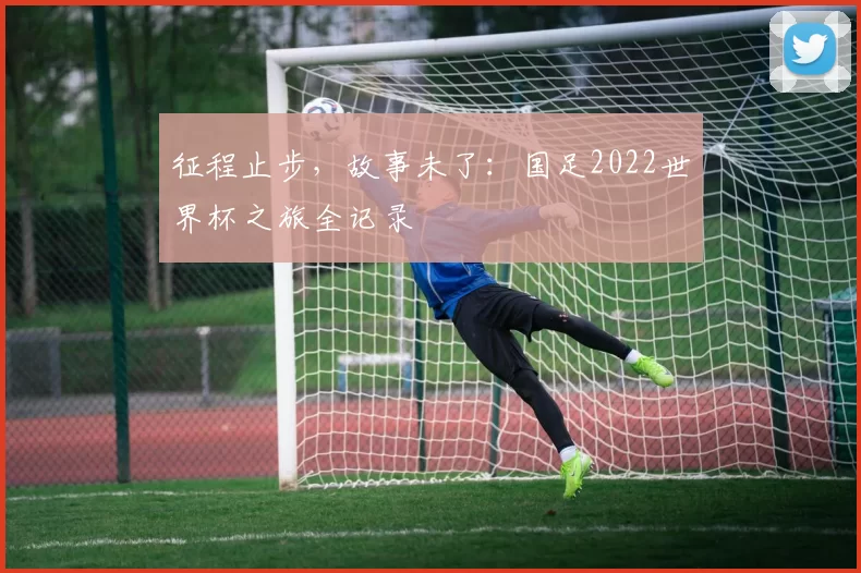 征程止步，故事未了：国足2022世界杯之旅全记录