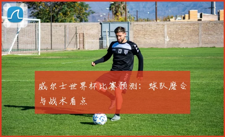 威尔士世界杯比赛预测：球队磨合与战术看点