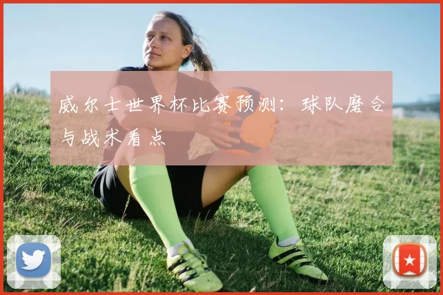 威尔士世界杯比赛预测：球队磨合与战术看点