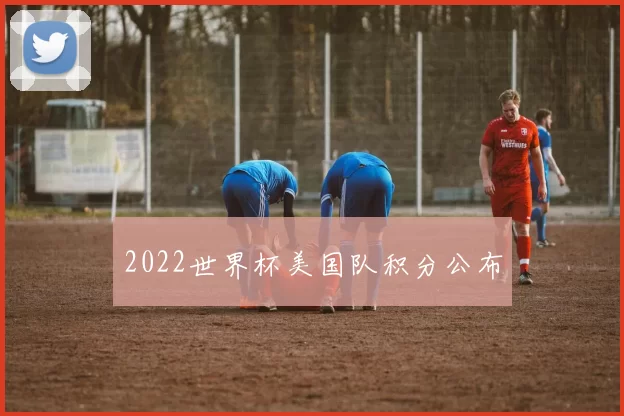 2022世界杯美国队积分公布