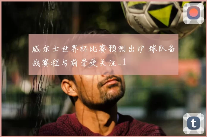 威尔士世界杯比赛预测出炉 球队备战赛程与前景受关注_1
