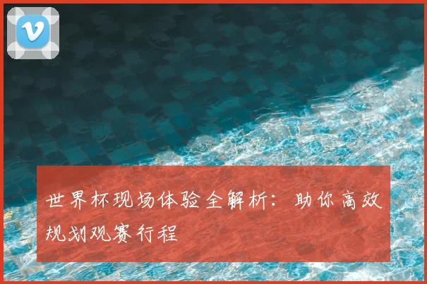 世界杯现场体验全解析:助你高效规划观赛行程