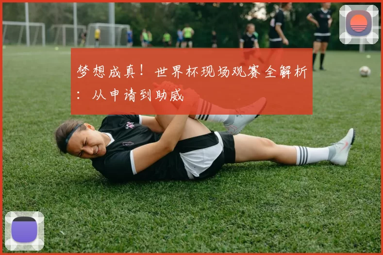 梦想成真!世界杯现场观赛全解析:从申请到助威