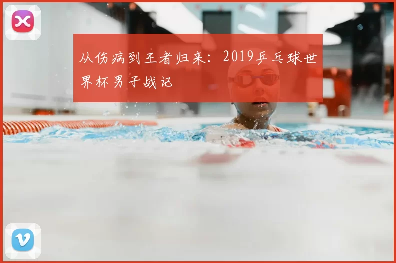 从伤病到王者归来：2019乒乓球世界杯男子战记