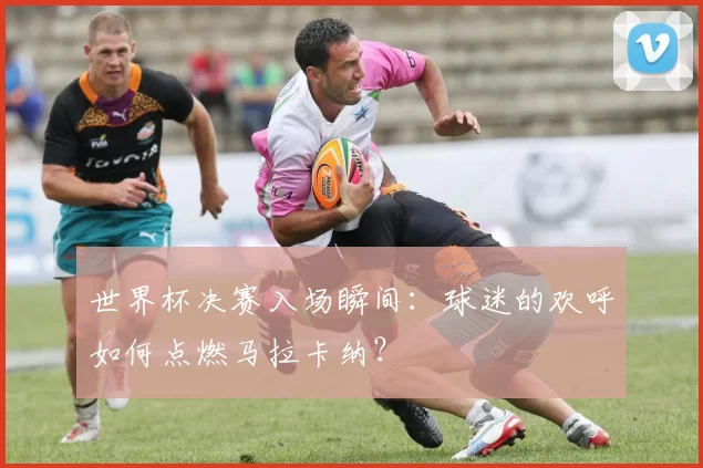世界杯决赛入场瞬间：球迷的欢呼如何点燃马拉卡纳？