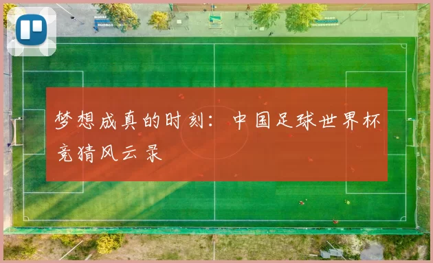 梦想成真的时刻:中国足球世界杯竞猜风云录