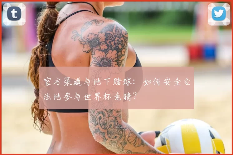 官方渠道与地下赌球:如何安全合法地参与世界杯竞猜?