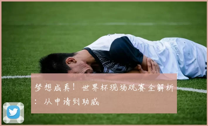 梦想成真!世界杯现场观赛全解析:从申请到助威