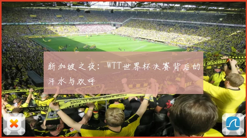 新加坡之夜：WTT世界杯决赛背后的汗水与欢呼