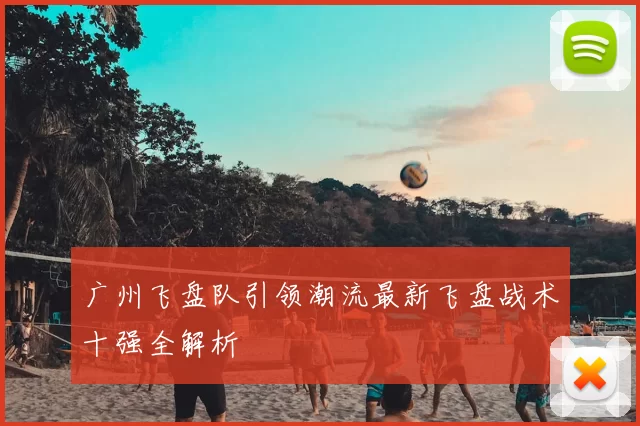 广州飞盘队引领潮流最新飞盘战术十强全解析