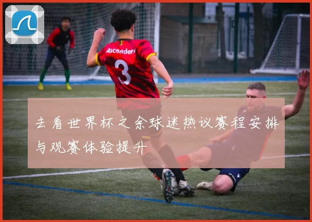 去看世界杯之余球迷热议赛程安排与观赛体验提升