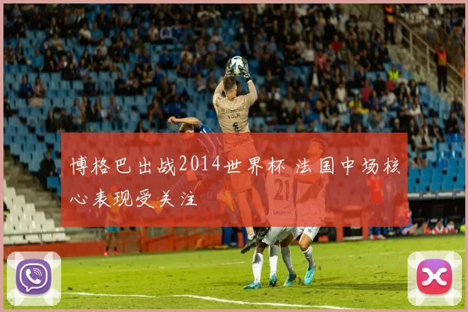 博格巴出战2014世界杯 法国中场核心表现受关注