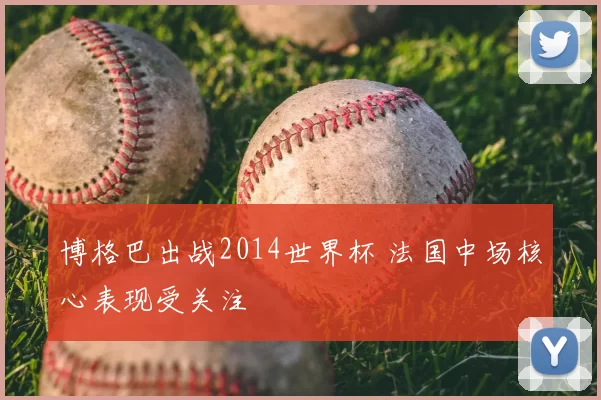 博格巴出战2014世界杯 法国中场核心表现受关注