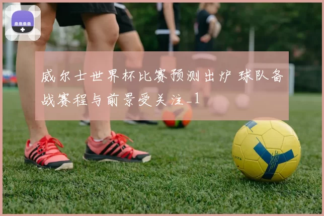 威尔士世界杯比赛预测出炉 球队备战赛程与前景受关注_1